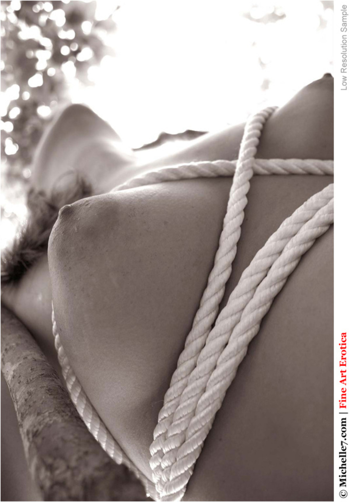 Natural Busty Alicia in Ropes - picture 01