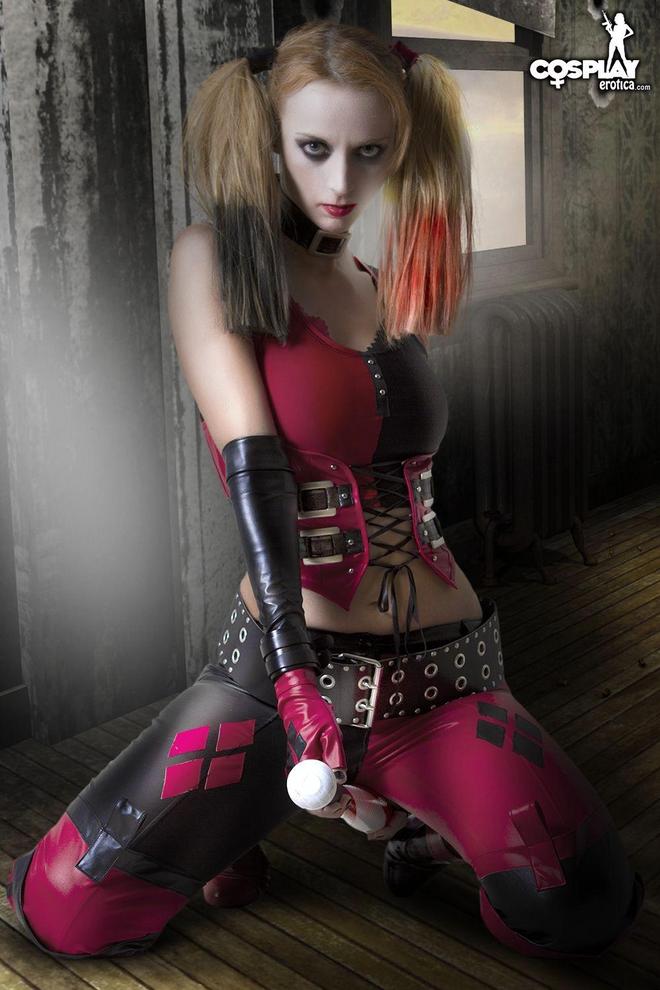 Harley Quinn from Arkham City - picture 10