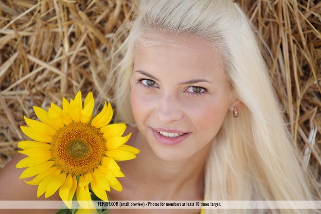 Platinum Blonde Pussy Sunflower - picture 00