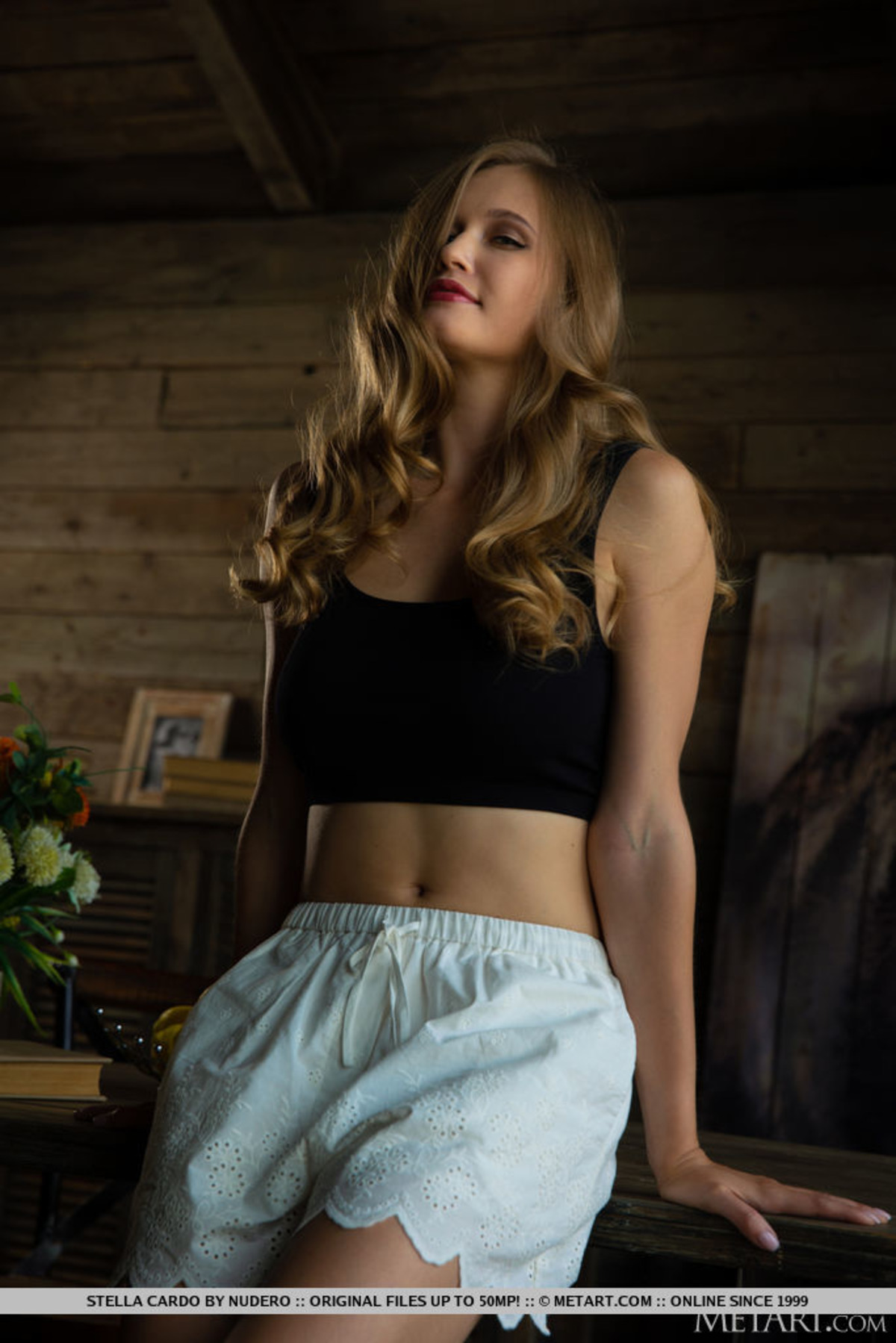 Busty Stella Cardo in Soft Glance - picture 02